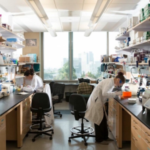 Two undergraduate researchers in a lab space